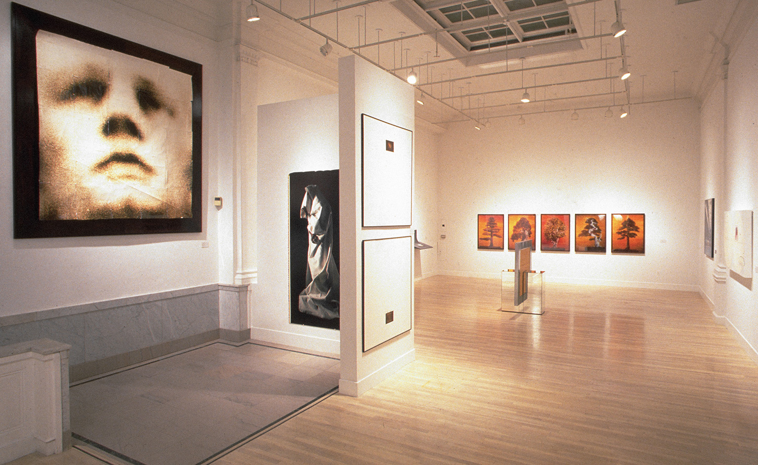 installation view