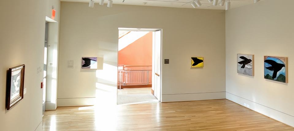 installation view of paintings